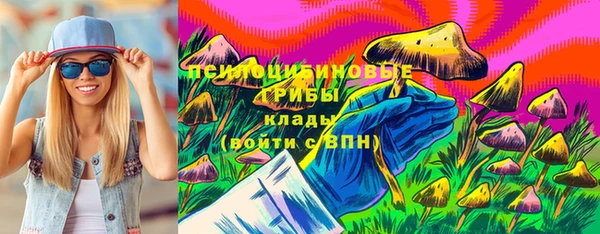 индика Балахна