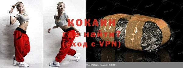 индика Балахна