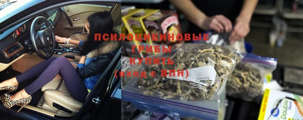 индика Балахна
