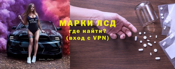 индика Балахна