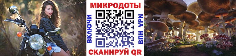 Псилоцибиновые грибы Psilocybe  Красково 